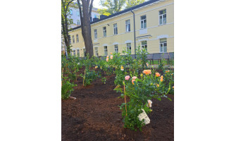 Donation Garden NPVC