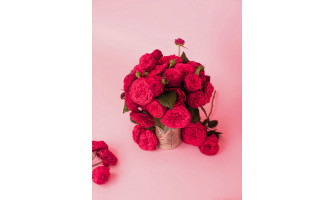 Kuras rozes stādīt, ja vēlies ziedus ne tikai dobē, bet arī vāzē? Kuras rozes stādīt, ja vēlies ziedus ne tikai dobē, bet arī vāzē?